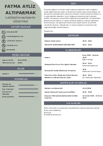 Matematik Öğretmeni Cv Örnekleri cv indir